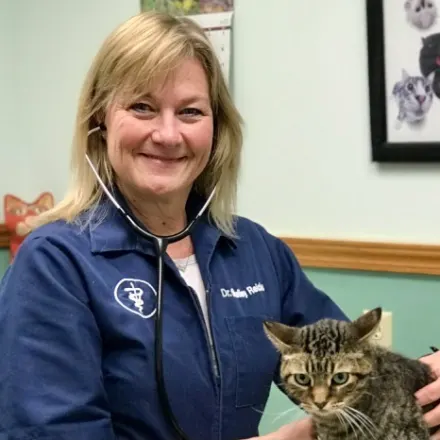 Dr. Shelley Trautmiller, veterinarian at Kind Veterinary Clinic